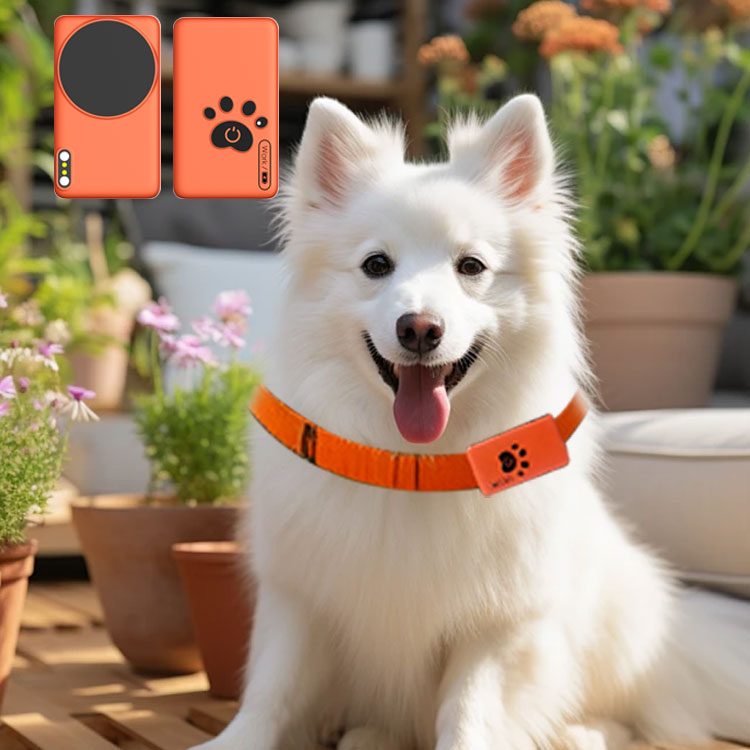 AI Wearable Pet Health Monitor - Breath Rate Monitor 리뷰 및 가격